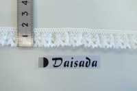 DS10045-S دانتيل مرن دانتيل كشكش 17 مم DAISADA صور إضافية
