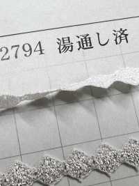 DS2794 جديلة دانتيل لاميه عرض 9mm مغسولة مسبقًا[الأشرطة، والأشرطة القماشية، والحبال] DAISADA صور إضافية