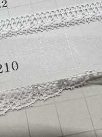DS5210 دانتيل خفيف الوزن، العرض 8 mm[Lace] DAISADA صور إضافية