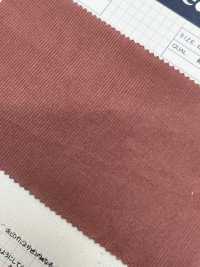 2030 22W كوردروي صيفي خفيف[Textile / Fabric] Kumoi Beauty صور إضافية