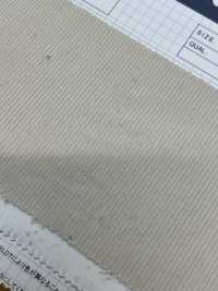 1150 كوردروي T/C 14W[نسيج / قماش] Kumoi Beauty صور إضافية