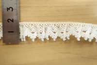 DS1803-S دانتيل تورشون، بعرض 18 مم[Lace] DAISADA صور إضافية