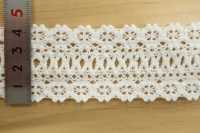 DS4142 دانتيل تورسيون بعرض 45mm DAISADA صور إضافية