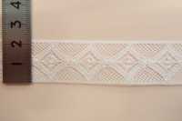 DS5010 دانتيل قطني 22MM[Lace] DAISADA صور إضافية