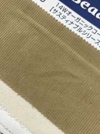 OG2180 14W قطن/عضوي مخمل مضلع[Textile / Fabric] Kumoi Beauty صور إضافية