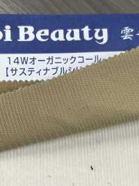 OG2180 14W قطن/عضوي مخمل مضلع[Textile / Fabric] Kumoi Beauty صور إضافية