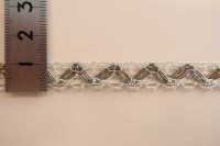 DS30205 جديلة لاميه العرض: 11mm[Ribbons, Tapes, And Cords] DAISADA صور إضافية