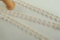 DS2706 ضفيرة لاميه العرض: 13 مم[Ribbons, Tapes, And Cords] DAISADA صور إضافية