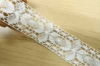 DS2898 دانتيل قطني العرض: 28mm DAISADA صور إضافية