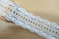 DS8092 عرض الدانتيل القطني: 33mm[Lace] DAISADA صور إضافية