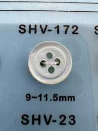 SHV172 زر صدفي بأربع ثقوب بحافة[أزرار] DAIYA BUTTON صور إضافية