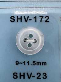 SHV172 زر صدفي بأربع ثقوب بحافة[أزرار] DAIYA BUTTON صور إضافية