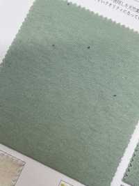 KKC5480 جيرسي قطن عضوي Open-End 30/-[Textile / Fabric] Uni Textile (Komon Kobo) صور إضافية