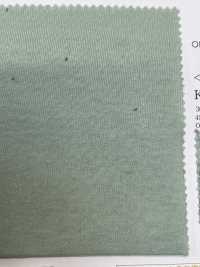 KKC5480 جيرسي قطن عضوي Open-End 30/-[Textile / Fabric] Uni Textile (Komon Kobo) صور إضافية