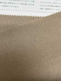 482 Ramicot قطن/كتان أوكسفورد قطن معاد تدويره رقم 11 فئة كانفاس[Textile / Fabric] SENDA صور إضافية