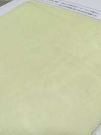 P-122T Pallet أورجانزا (عرض مفرد)[Textile / Fabric] Suncorona Oda صور إضافية