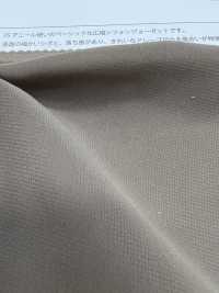 2580K جورجيت شيفون 75d بعرض واسع[Textile / Fabric] Suncorona Oda صور إضافية