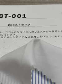 SBT-001 إيكو سترايب[نسيج / قماش] Kuwamura Textile صور إضافية