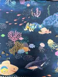 DP-4420-4 22fabric[نسيج / قماش] HOKKOH صور إضافية