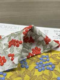4022-848-1 تطريز لاون[Textile / Fabric] HOKKOH صور إضافية
