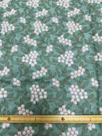 4022-848-1 تطريز لاون[Textile / Fabric] HOKKOH صور إضافية