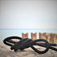2810 حبل وسادة[Ribbons, Tapes, And Cords] QUEEN ACE (Kasai) صور إضافية