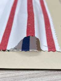 3331 أوكسفورد أمريكي بخطوط أفقية[Textile / Fabric] Arinobe Shoten صور إضافية