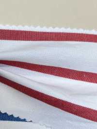 3331 أوكسفورد أمريكي بخطوط أفقية[Textile / Fabric] Arinobe Shoten صور إضافية