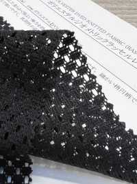 41612 دانتيل راشيل هندسي من البوليستر[Textile / Fabric] SUNWELL صور إضافية