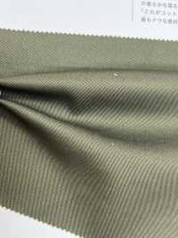 2904 CPT20s تويل عالي الخيوط Ruftas مع تشطيب الأمونيا السائلة[Textile / Fabric] VANCET صور إضافية