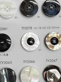 TY2078 زر من راتنج البوليستر بفتحتين[أزرار] DAIYA BUTTON صور إضافية