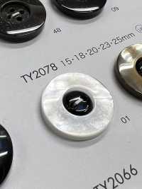TY2078 زر من راتنج البوليستر بفتحتين[أزرار] DAIYA BUTTON صور إضافية