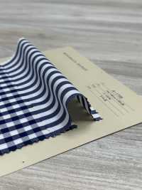A-1738 بوبلين بنقشة مربعات/خطوط[Textile / Fabric] Arinobe Shoten صور إضافية