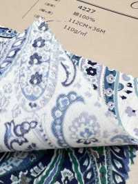 4227 برودكلوث أنيق بنقشة بايزلي كبيرة بطراز فينتاج[Textile / Fabric] VANCET صور إضافية