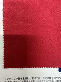6831 20 قماش شيتينغ بتشطيب مخلب الطائر[Textile / Fabric] VANCET صور إضافية
