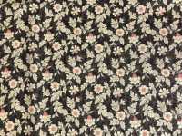 83039 SEVENBERRY® قماش لاون مجموعة الحنين طبيعي مع نُقاط Hanasarasa[Textile / Fabric] VANCET صور إضافية