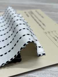 AN-9250 قماش دوبّي واباش[Textile / Fabric] Arinobe Shoten صور إضافية