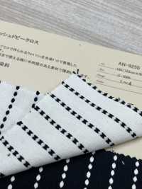 AN-9250 قماش دوبّي واباش[Textile / Fabric] Arinobe Shoten صور إضافية
