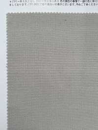 VF50000 قماش مزدوج مثالي[Textile / Fabric] Matsubara صور إضافية