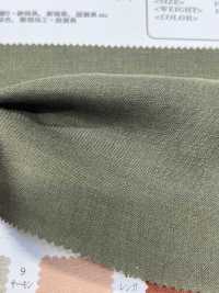 P21272 60/1・كتان ياباني (PFD)[Textile / Fabric] Oharayaseni صور إضافية