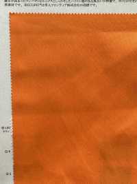 11533 ECOPET® بوليستر/قطن 33/1 تويل (باستخدام خيط مضاد للكهرباء الساكنة)[نسيج / قماش] SUNWELL صور إضافية