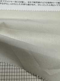 14391 برودكلوث قطن مصبوغ بالخيوط، بتشطيب الغسيل[Textile / Fabric] SUNWELL صور إضافية