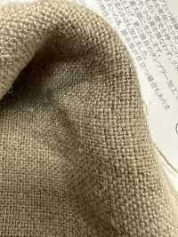 OA141363 كتان شبه رطب رقم 8[Textile / Fabric] Oharayaseni صور إضافية