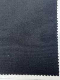 LIG6590 PE تافتا تاسلان مطاطية بتشطيب عتيق[Textile / Fabric] Lingo (Kuwamura Fiber) صور إضافية