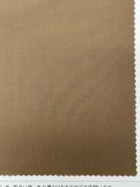 LIG8064 Techna Cotton 80/1 طراز Road[نسيج / قماش] Lingo (Kuwamura Fiber) صور إضافية