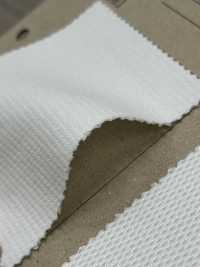 FJ200310 Primeflex® شبكة خلفية[نسيج / قماش] Fujisaki Textile صور إضافية