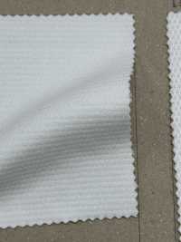 FJ200310 Primeflex® شبكة خلفية[نسيج / قماش] Fujisaki Textile صور إضافية