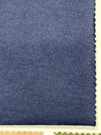 FJ220100 جيرسي تركي عضوي BD 19/-[نسيج / قماش] Fujisaki Textile صور إضافية