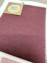 FJ220120 19/10 تركي عضوي BD فرنش تيري[نسيج / قماش] Fujisaki Textile صور إضافية