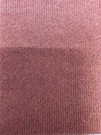 FJ220120 19/10 تركي عضوي BD فرنش تيري[نسيج / قماش] Fujisaki Textile صور إضافية